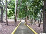 Junghas Park - BAYAMÓN